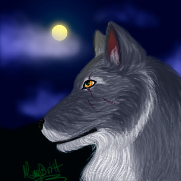 Wolf night