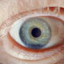 my eye