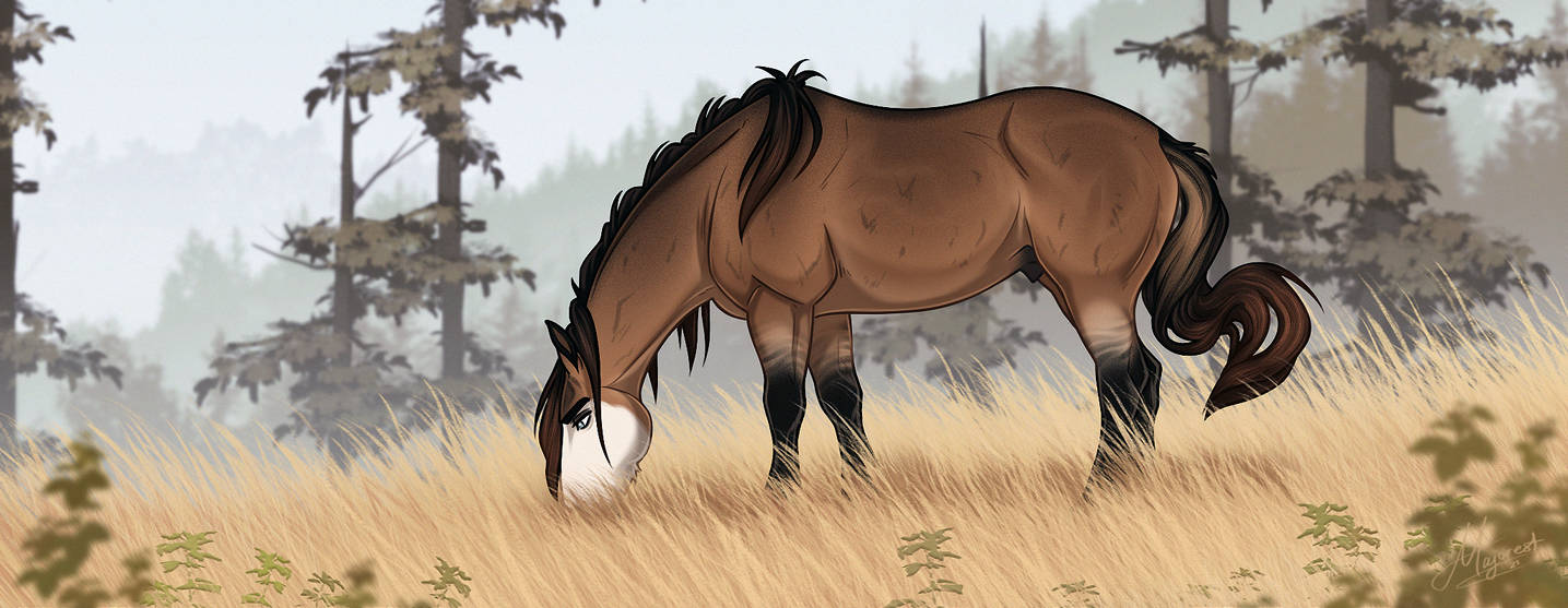 II | Khal | Quick Stop by Majorest on DeviantArt II | Khal | Quick Stop by Majorest on DeviantArt