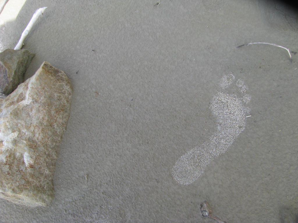 Sand Print by cjsylvester on DeviantArt