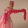 The Flamingo Costume III