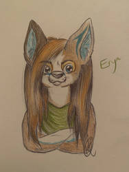 Eryn the Fox- Sketch