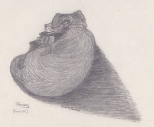 Penny Girl Sketch 2