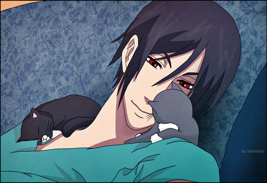 Sebastian Loves Cats:)