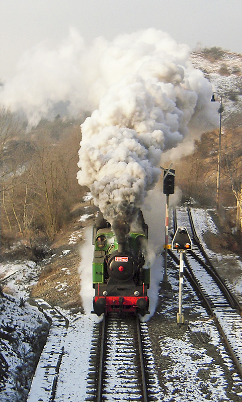 Steam loco 213.902