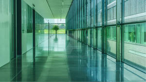Business 1 (9)