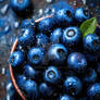 Food 2 (22)