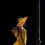 Firefly A silhouette of a woman in a flo 601844 OE