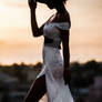 Firefly A silhouetted figure of a woman 111187 q9