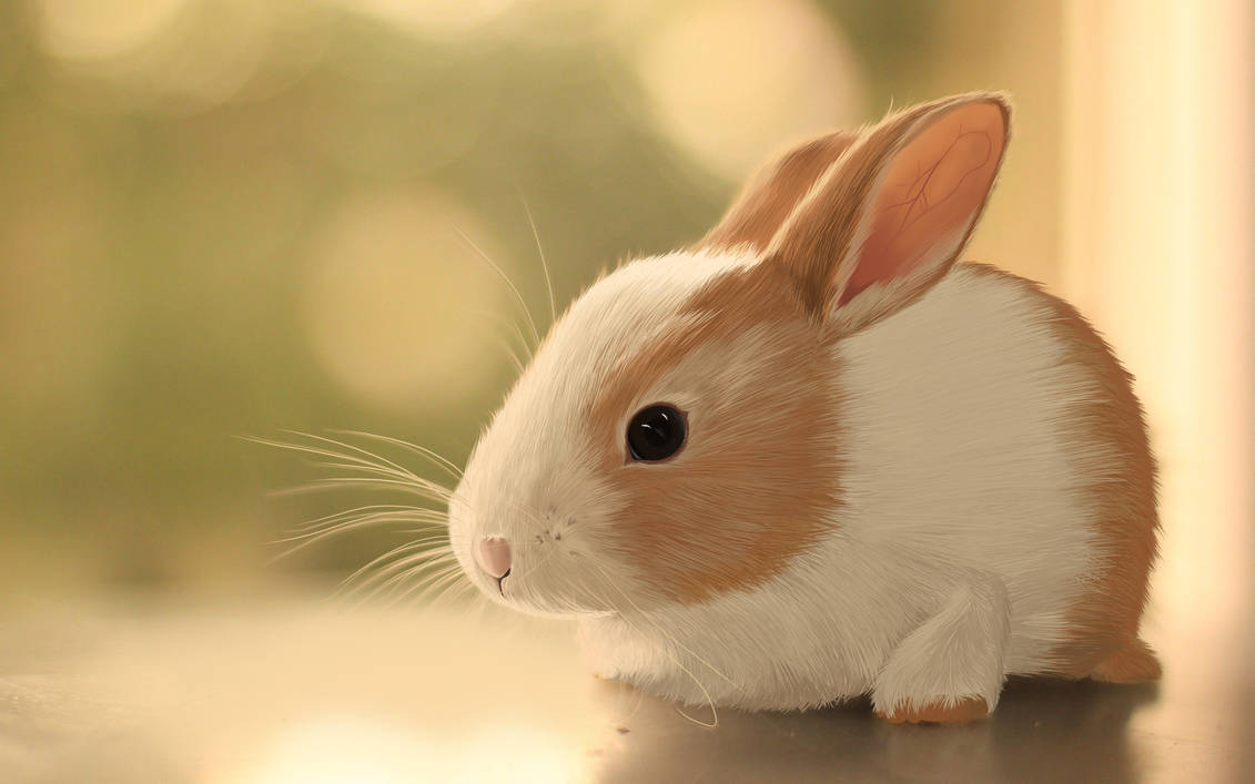 Deviantart Mini Rabbit Rabbit by Ainrae on DeviantArt