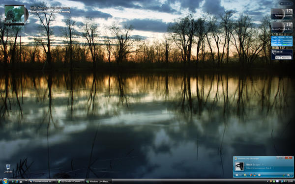 Fish1203's Desktop