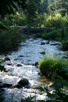 Morning Waters