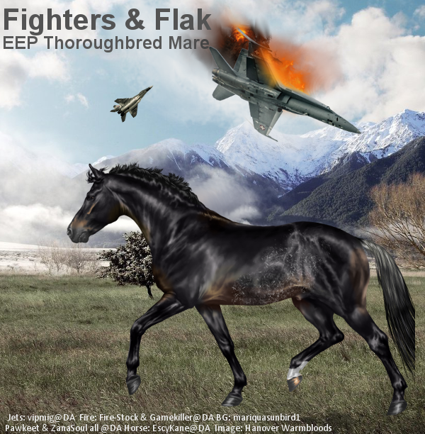 Fighters and FlakFor Merry