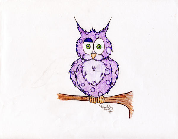 purple owl?