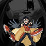 Young justice:Batman and Robin