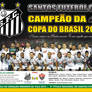 Campeao da Copa do Brasil 2010