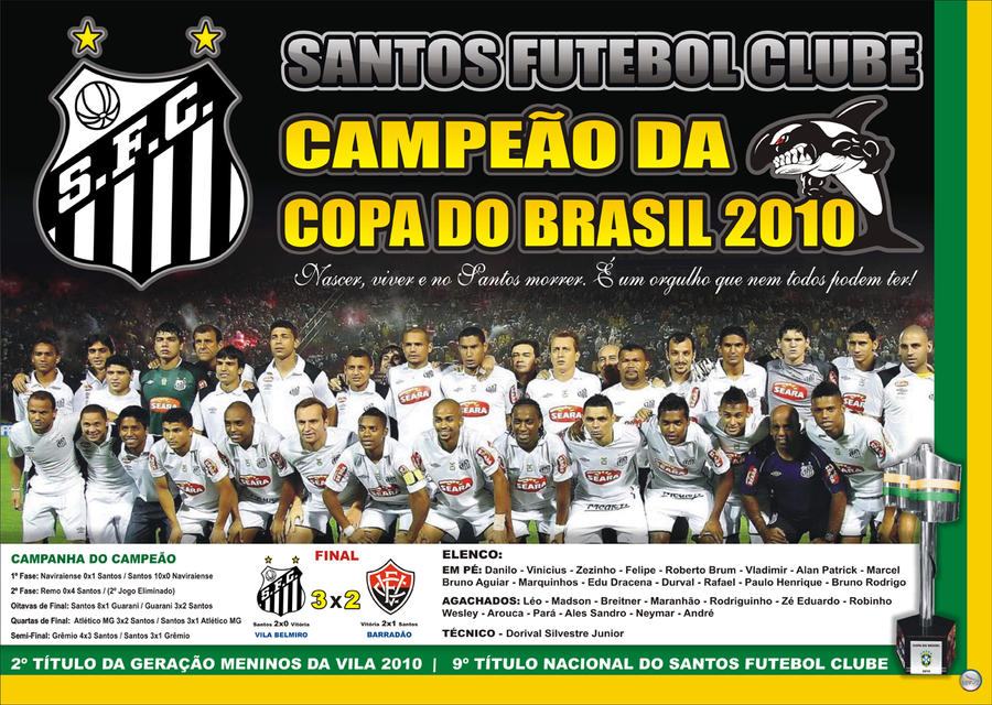 Campeao da Copa do Brasil 2010 by LynckDesign on DeviantArt