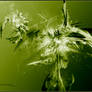 Aerostatic