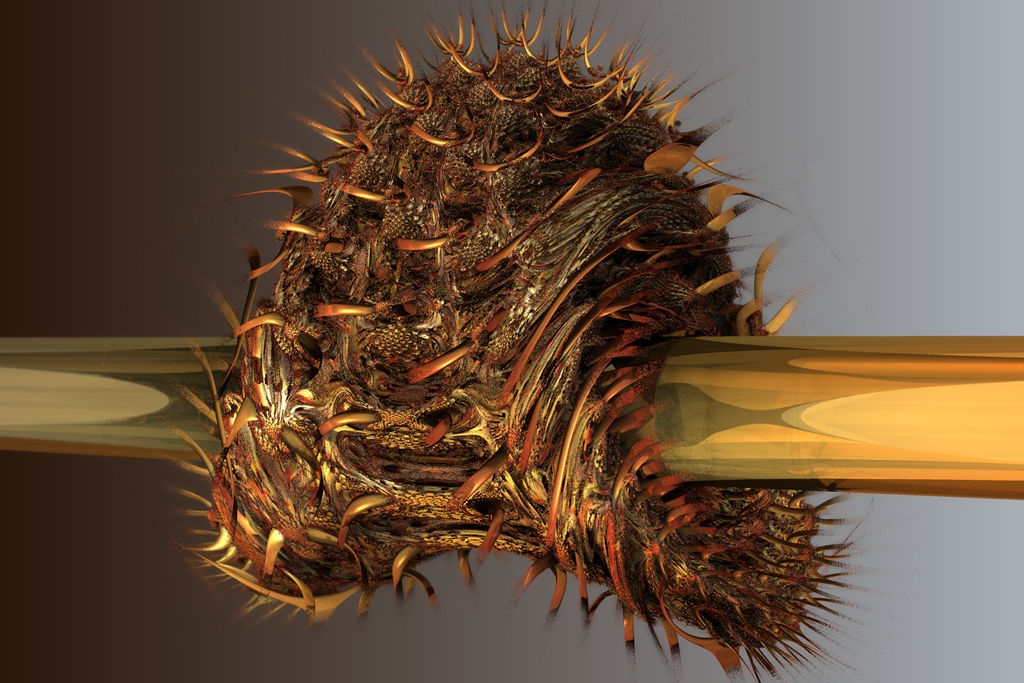 Which insect has misused this rod? by gannjondal Which insect has misused this rod? by gannjondal