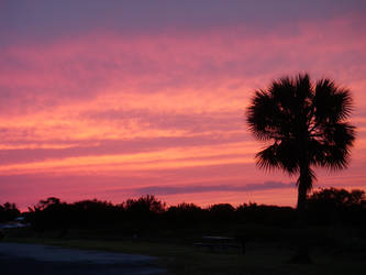 Everglades Dusk