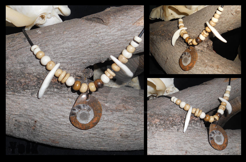 Ammonite Fossil Choker with Coyote Canines (SOLD)