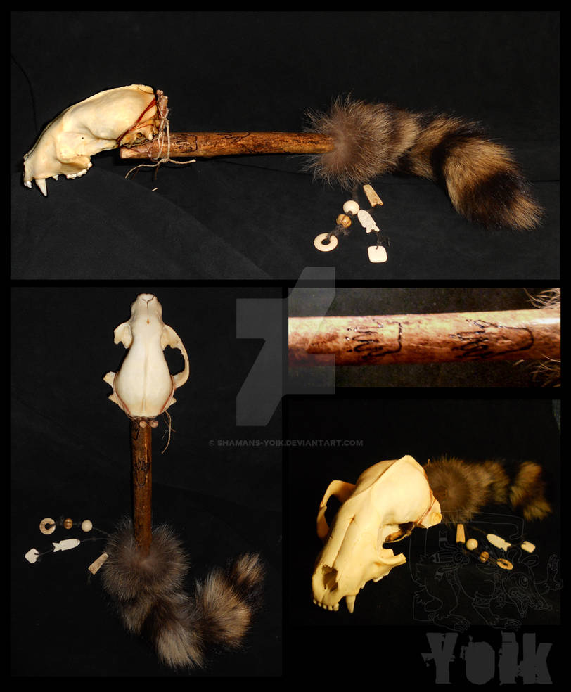 Dragon Bone Rattle Raccoon Skull Rattle - For Sale by Shamans-Yoik on DeviantArt