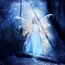 Fairy of light