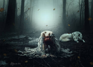 Lost in the wilderness