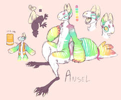 Ansel ref