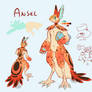 Ansel new ref