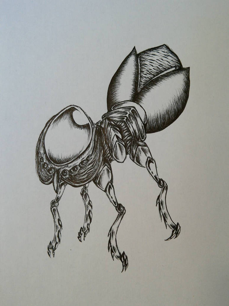 Fantasy Insect by Slyis on DeviantArt