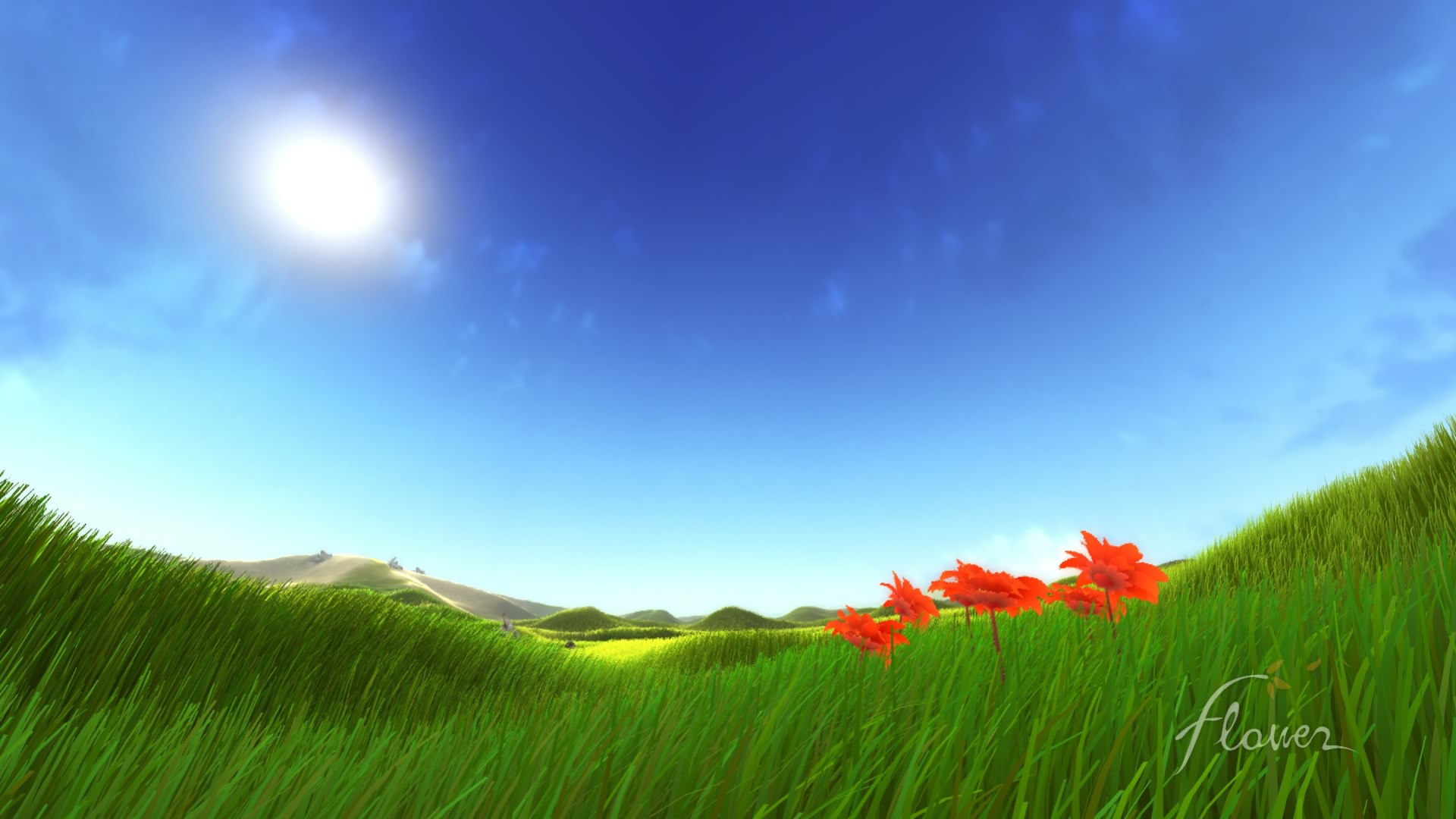 Flower 20150311222856