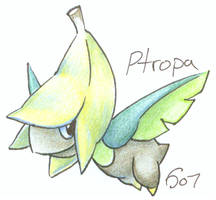 PTROPA :0