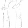 The foot