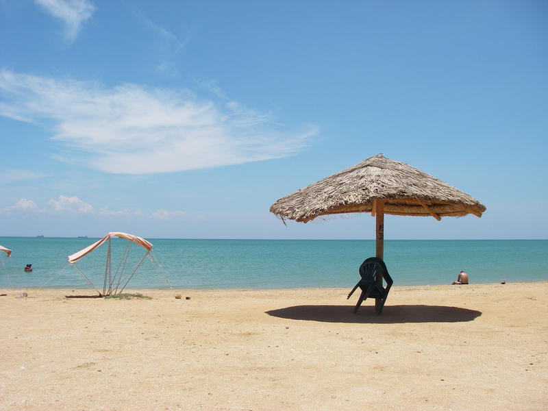 Lonley sunshade