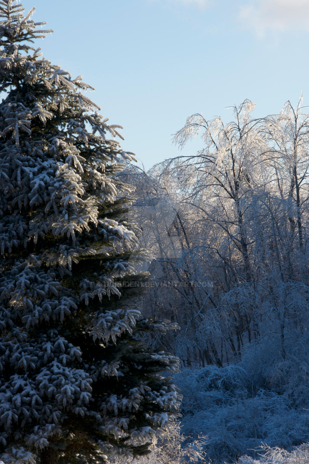 ice country