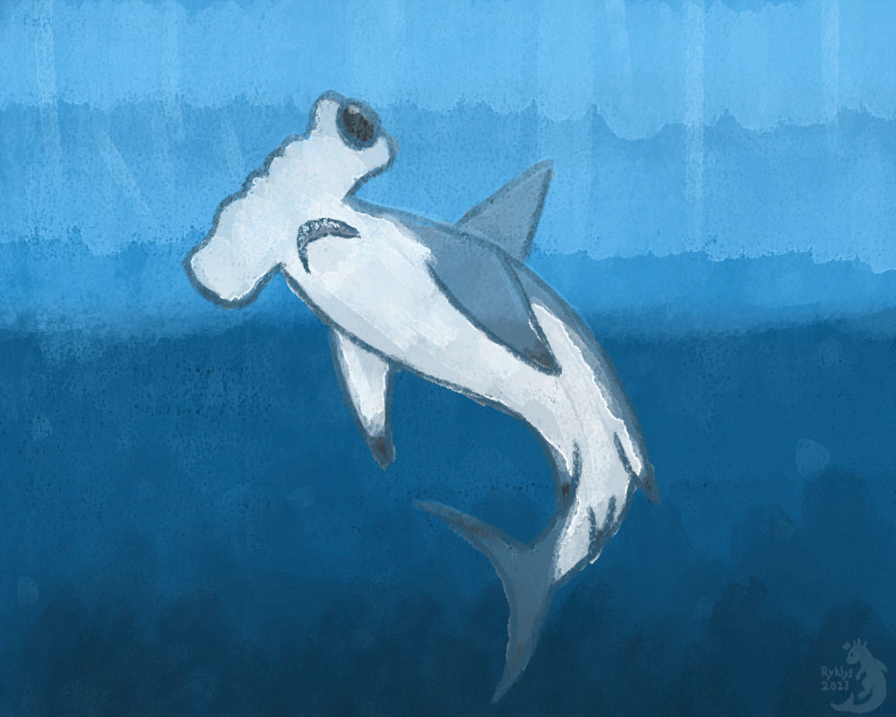 Shark Deviantart Day 2: Great Hammerhead Shark by RyklysMoretti on DeviantArt
