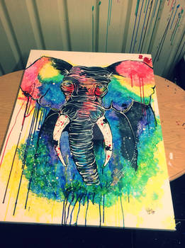 Elephant x