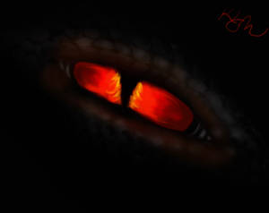 Black Dragon Eye