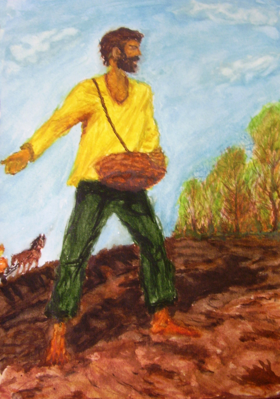 the sower