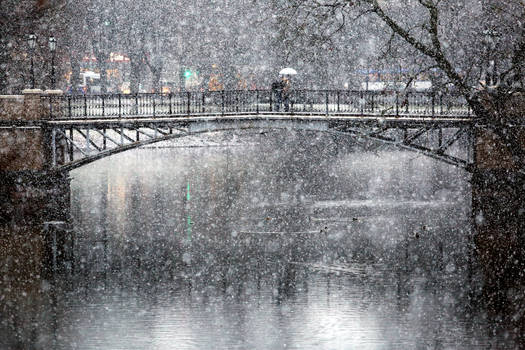 Winter day in Riga