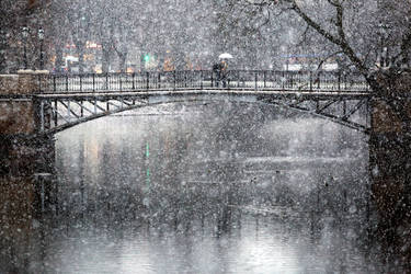 Winter day in Riga