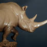 White Rhino in clay