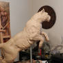 Right side 1/2 scale Cougar