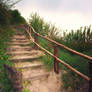 the wooden stairs