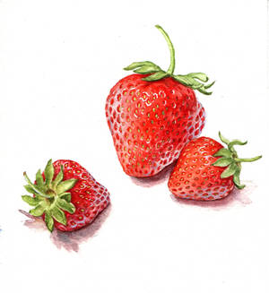 strawberries