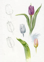 How to paint a tulip - TUTORIAL