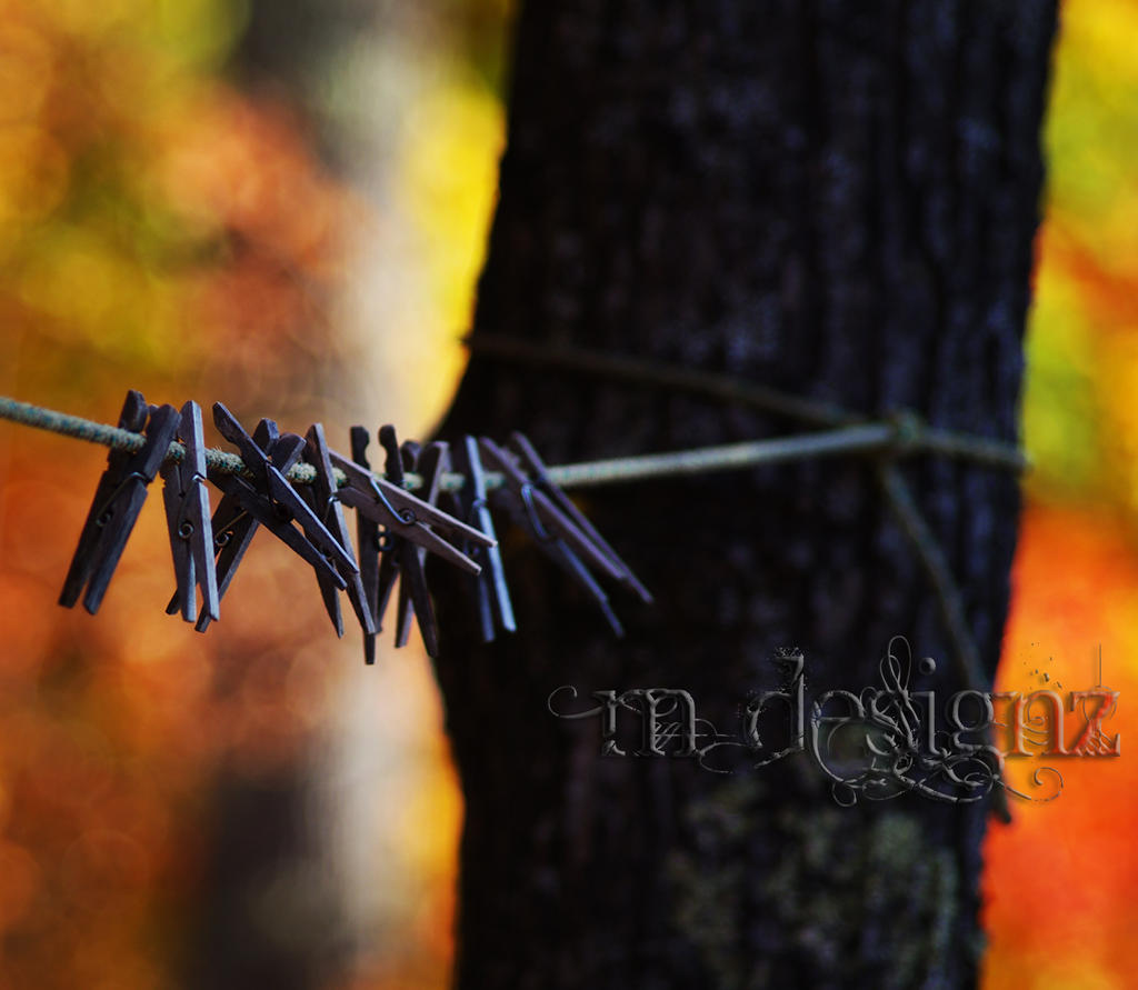 Tied Up On A Beautiful Fall Day