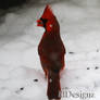 Tough Little Cardinal In The Blizzard