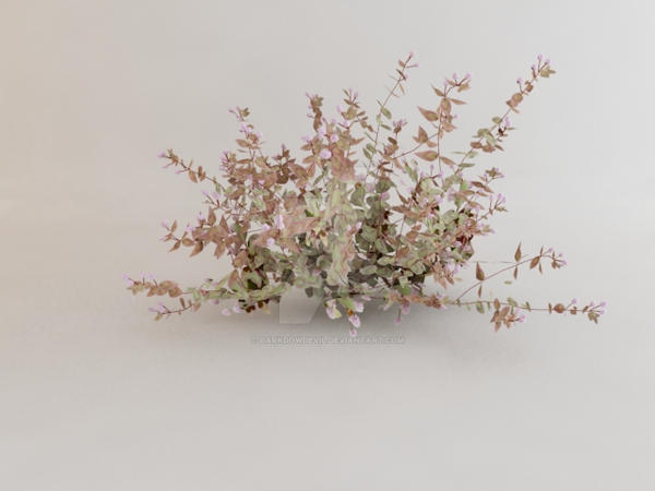 3d polygonum captatun